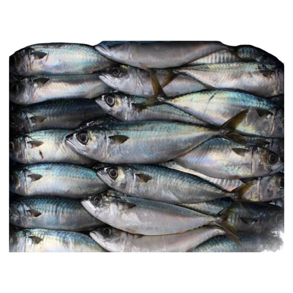 [오늘출발] 어부백서 국내산 고등어 11kg (중) 대용량 업소용 바다의 신선함을 그대로