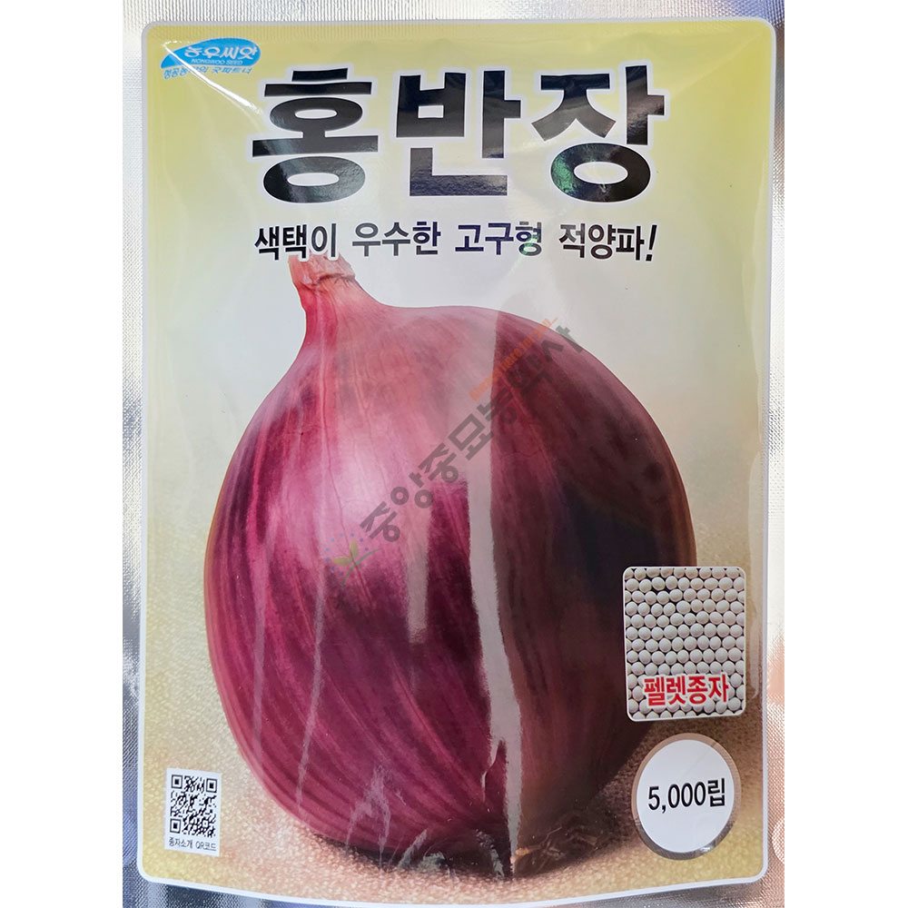 홍반장 5000립 25년 양파