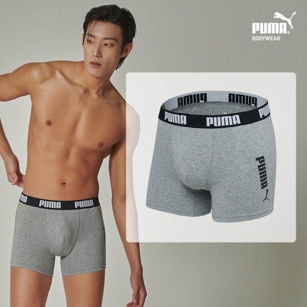 푸마바디웨어   푸마 언더웨어  푸마  IT16차 데일리 남자팬티 드로즈 1종 멜란지그레