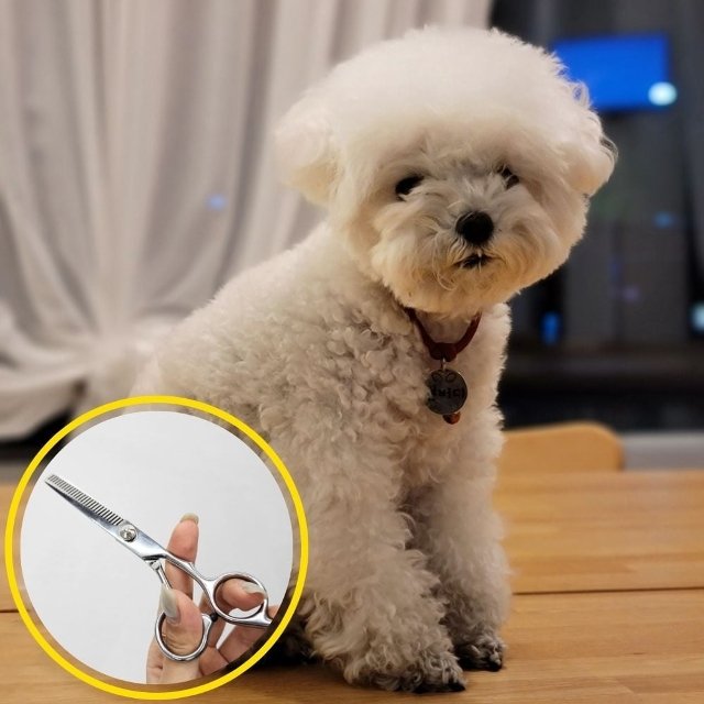 스텐레스 미용 이발 숱치기 틴닝가위 (WFJ0RKO)