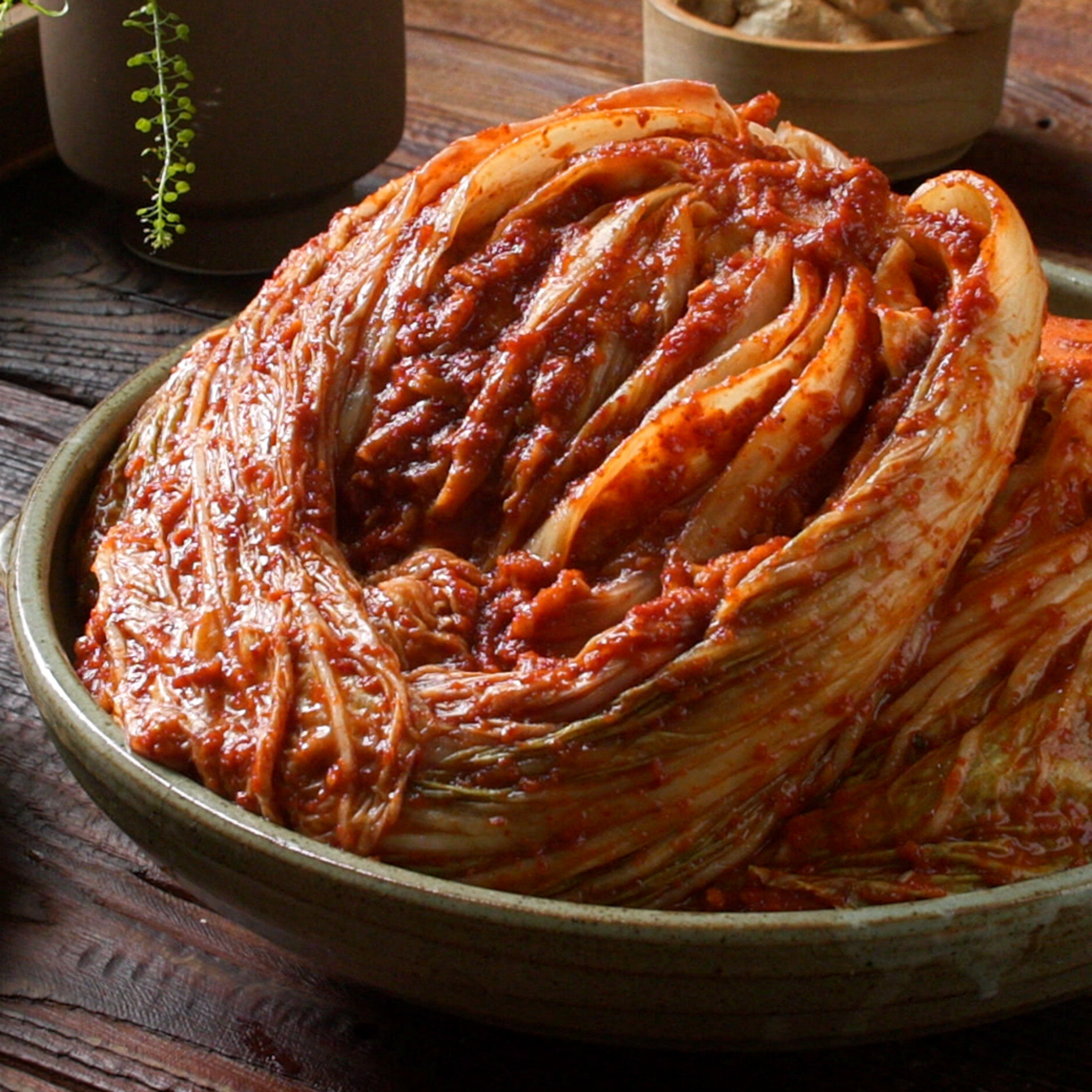 [비긴어스][오늘출발] 식탐 TV상품식탐 국내산 전라도 배추김치 갓담은 포기김치 10kg 5+5 행사 중 무료배송