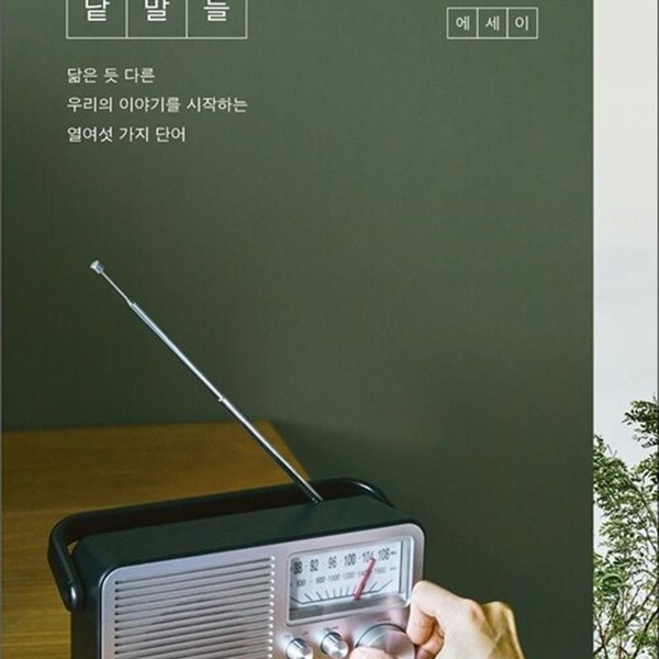큰글자도서 일상의 낱말들 - 닮은 듯 다른 우리의 이야기를 시작하는 열여섯 가지 단어