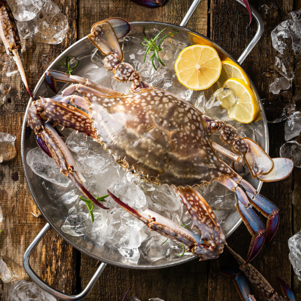 대한민국농수산 제철 꽃게 자연산 활 숫꽃게 3kg / 25년 첫 출하
