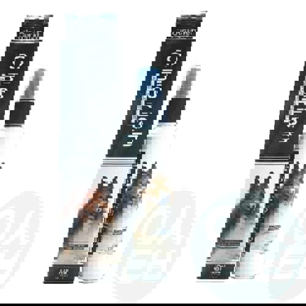 위라이즈 애견 항문세정제 120ml 애완견냄새제거 강아지냄새제거 애견냄새제거 반려동물냄새제거 강아지탈