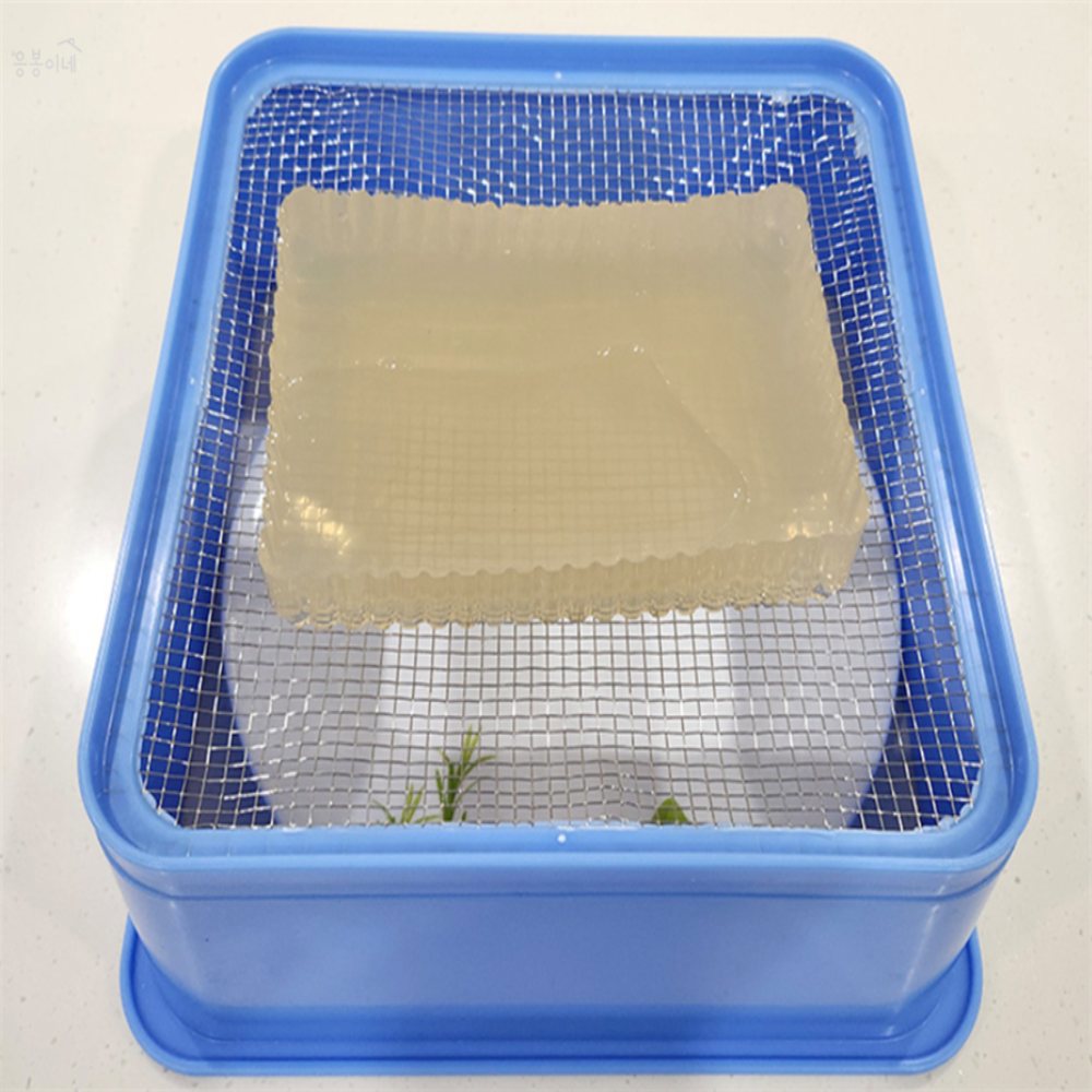 [오늘출발] 응봉이네 사각 묵채 국산우뭇가사리채 우뭇가사리채 묵채칼 주방도구