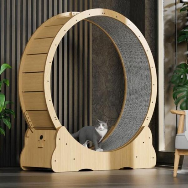 [해외] 장난감/고양이캣휠 무소음캣휠 고양이쳇바퀴 고양이운동 고양