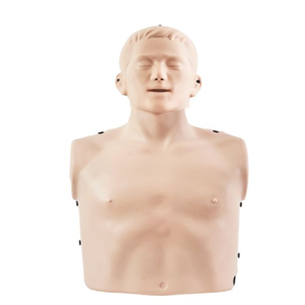 [오늘출발]베스트씨피알 심폐소생술 연습용 교육용 마네킹 B100