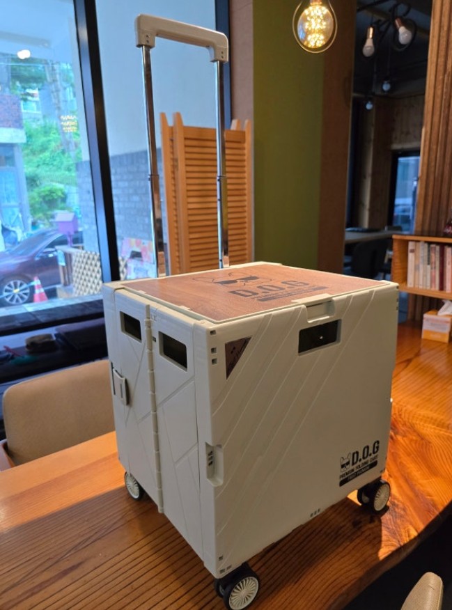 도그독 접이식 캠핑 장바구니 마트 쇼핑 특대형 (퍼스트프리미엄 폴딩카트/올리브)