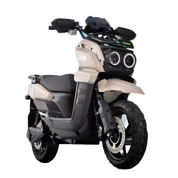 [오늘출발] 2000W 72V/60V 전기 자전거 성인용 2륜 시티 (5000W/3000W/1500W 모터 옵션 포함) - ODF 쿨 디자인