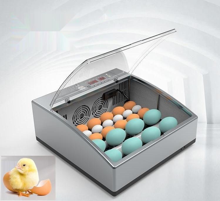 병아리 부화기 미니 닭 메추리 오리 가정용 육추기