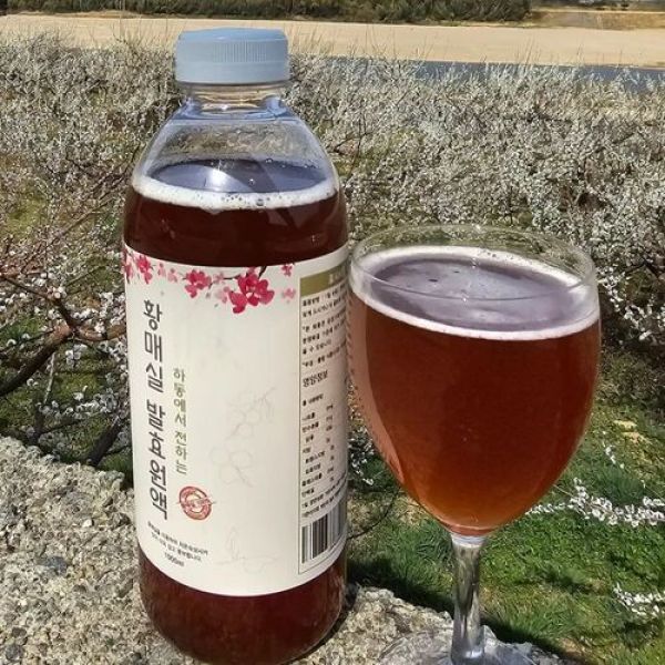 [오늘출발] 싱싱햇 황매실청 매실청 매실 액기스 원액 2000ml 깊은향과 부드러운 단맛 황매실청