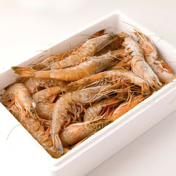 [오늘출발] 국내산 서해안 자연산대하 1kg