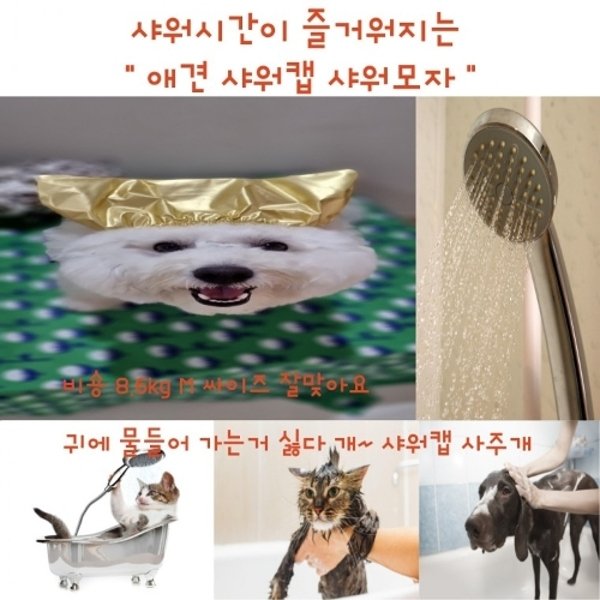 사러왕강아지 고양이 목욕 방수 귀마개 애견 샤워캡 모자 물놀이 헤어밴드 스파 목욕용품