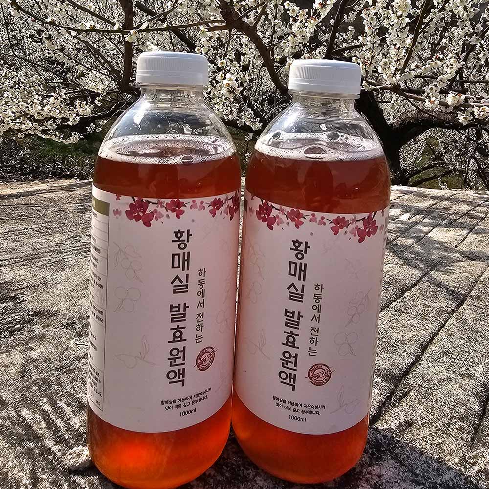 자연발효 3년숙성 수제 황매실청 2병