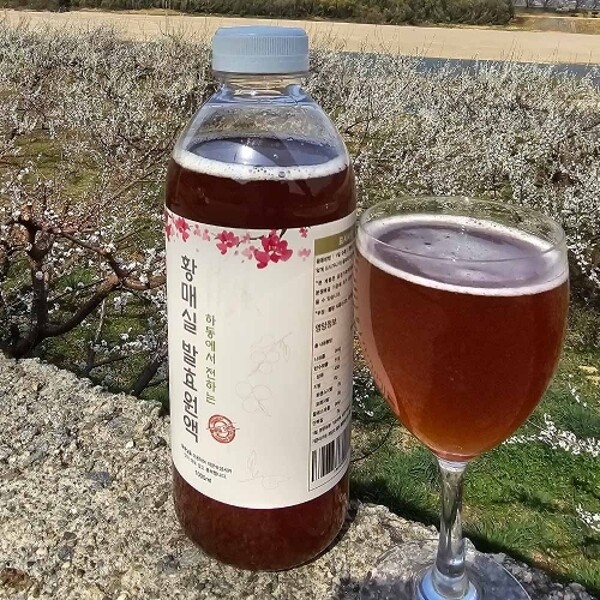 자연발효 3년숙성 수제 황매실청 1병_23036418_588325