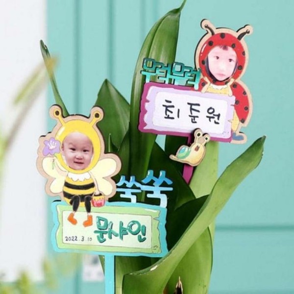 식물 토퍼 만들기 식물이름표  수목표찰 1P 45qfE)