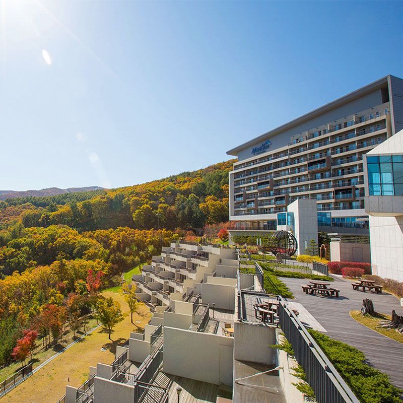 (1박패키지/2인)하이원리조트 2025 올시즌패키지(객실 1박+워터월드 2인+케...