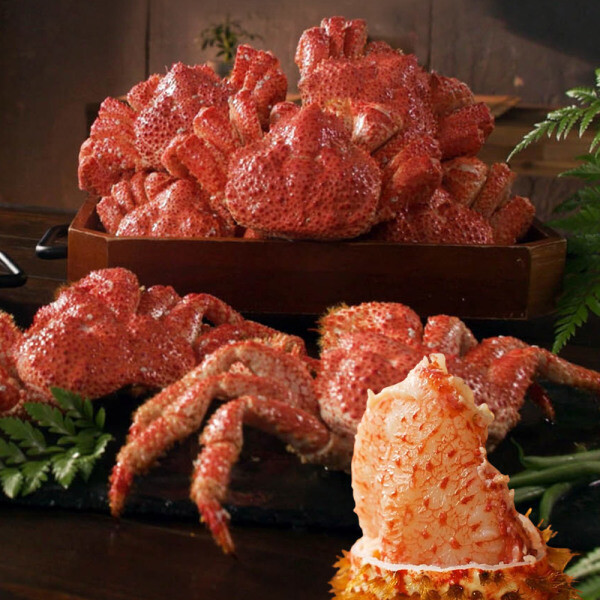 [오늘출발] 한농식 자연산 스노우 레드크랩 붉은대게 손질 자숙 킹크랩 3마리