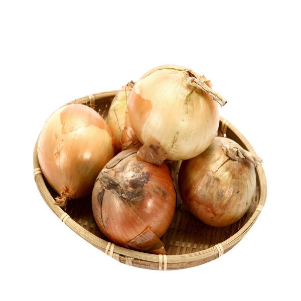 [오늘출발] 창녕 양파 20kg  햇양파 중소 혼합사이즈