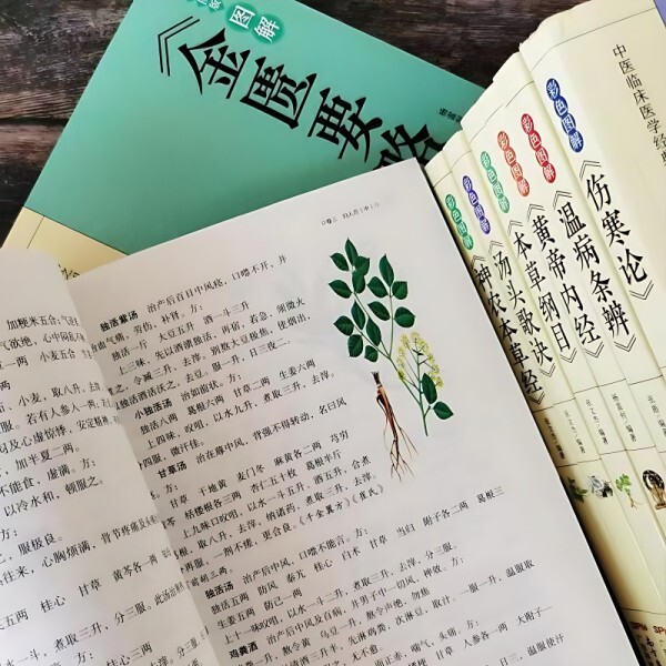 [오늘출발] 중국 의학 건강 책 열성 질병 치료 Huangdi Nei Jing Materia 약초 책