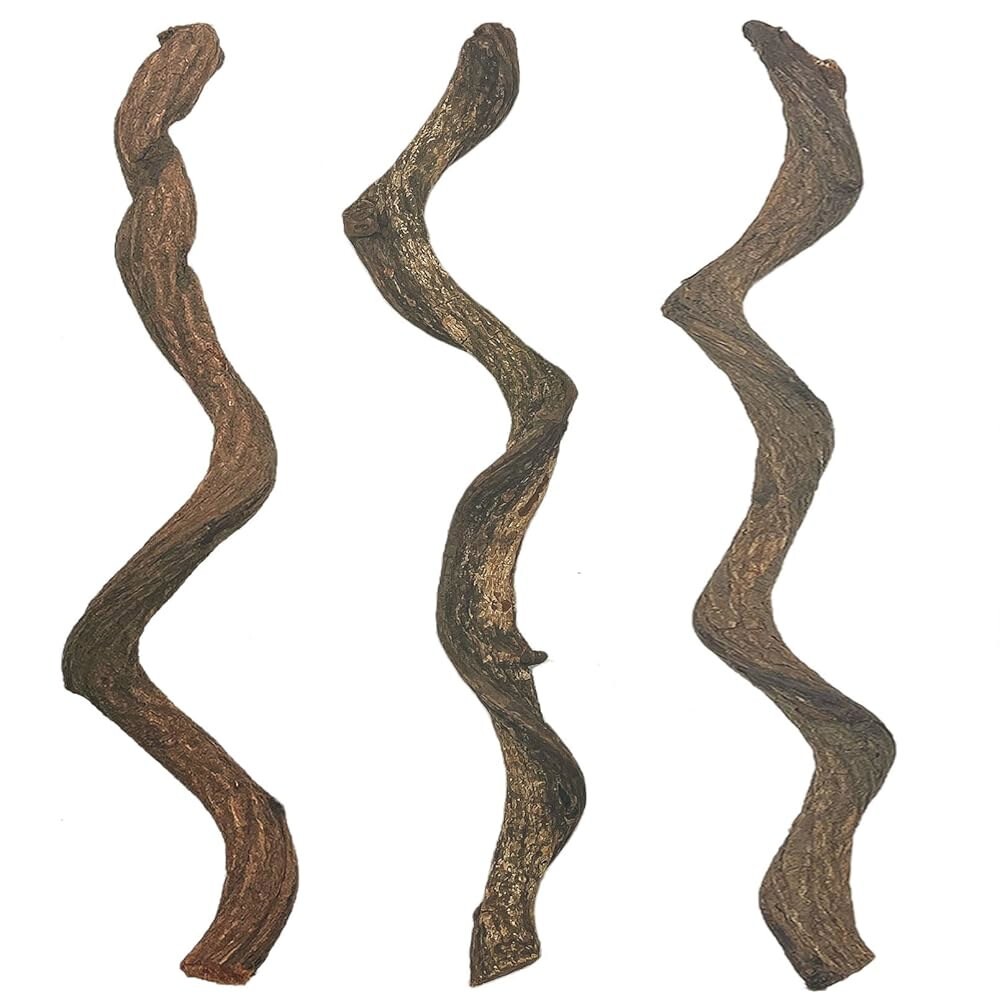 [오늘출발]BNOSDM 파충류 숲 등반 가지 장식 볏 게코 나무 자연 뱀 개구리 카멜레온 거미 수염 드래곤 테라리움 서식