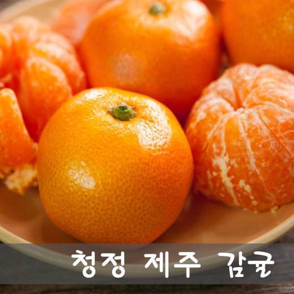 청정제주감귤(농협납품)-당일선별배송 10KG (큰귤 2L)