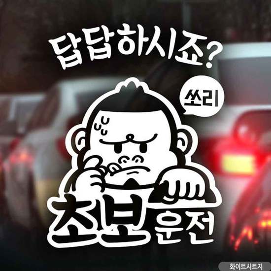 초보 답답 시트지 초보운전 싸나이 자동차스티커