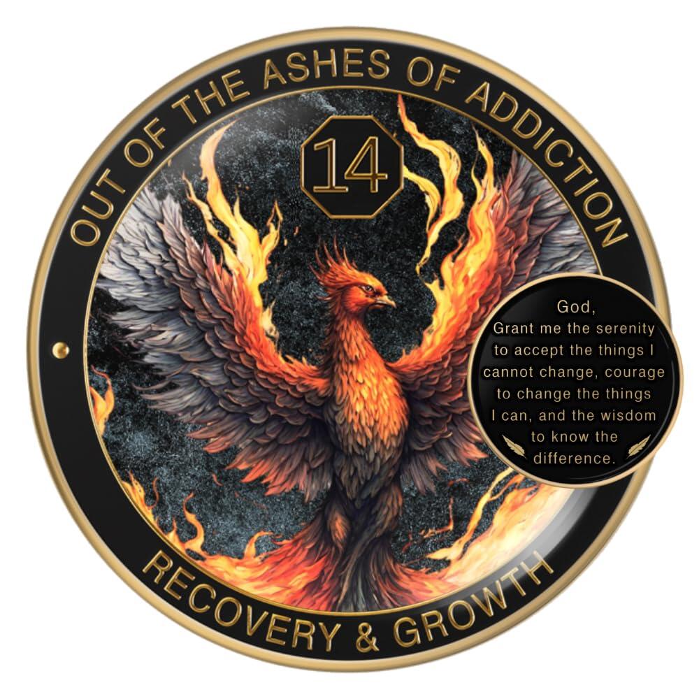 MilestoneMint Phoenix Sobriety Coin | AA 칩 메달리온 선물 세트 동전 캡슐 디스플레이 스탠드 및 카드