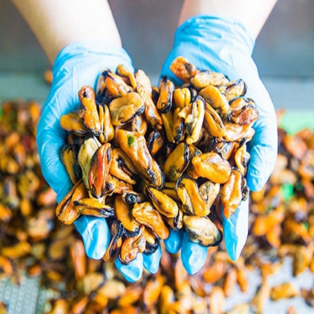 [오늘출발] 삼천포 손질 자숙 홍합살 1KG 국산홍합 자숙홍합살 홍합1KG