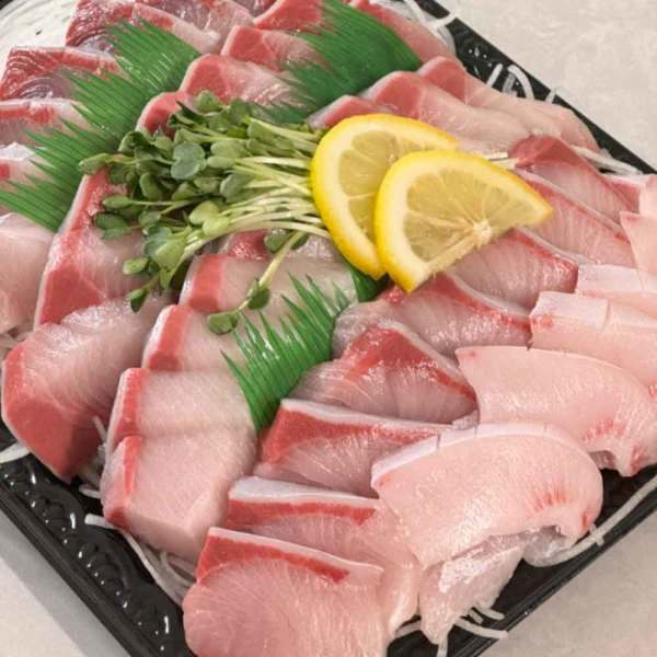 [오늘출발] 통영 앞바다 산지직송 제철 중방어회 500g (초장세트 포함) 대방어 입니다