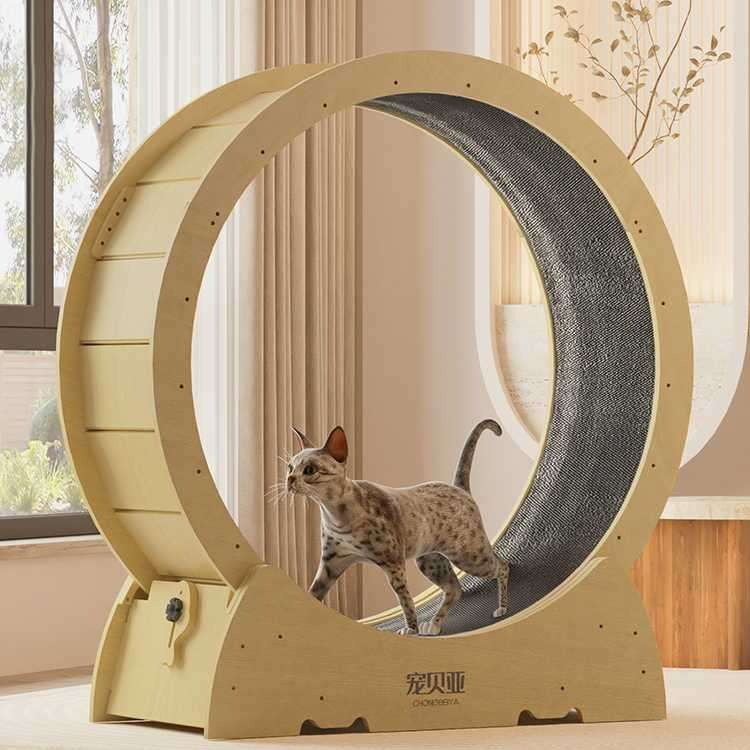 테스트용 캣휠 조립식 고양이 운동기구 작은 런닝머신 쳇바퀴 캣워크