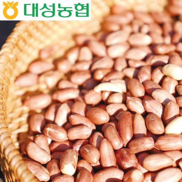대성농협 25년산 농협 고소한 볶음 땅콩 3봉(300g3봉/900g)