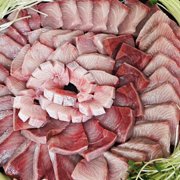 [오늘출발] 당일바리 자연산 대방어 10kg급 특대방어 필렛 500g 겨울 제철 돼지방어 방어회 집들이 모임 시즌 끝 행사