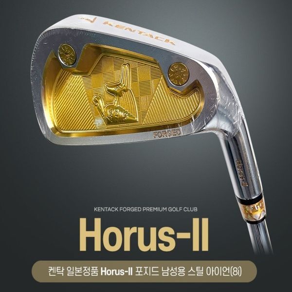 하프클럽(레저) 하프클럽/기타혼마 켄탁 Horus-II 포지드 골드 아이언