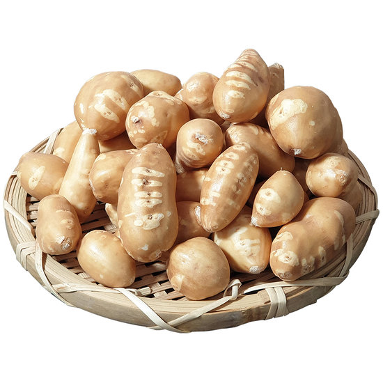 해남 인디언감자 3kg(중) 손질세척으로 편리한 아피오스 콩감자