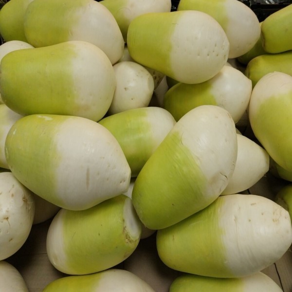 (우주초특가) 제주산 월동무 10kg 가정용 특가