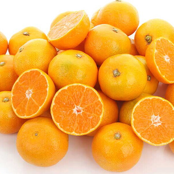 더조은푸드   하프클럽/ 달콤한 서귀포 감귤 (대과) 10kg