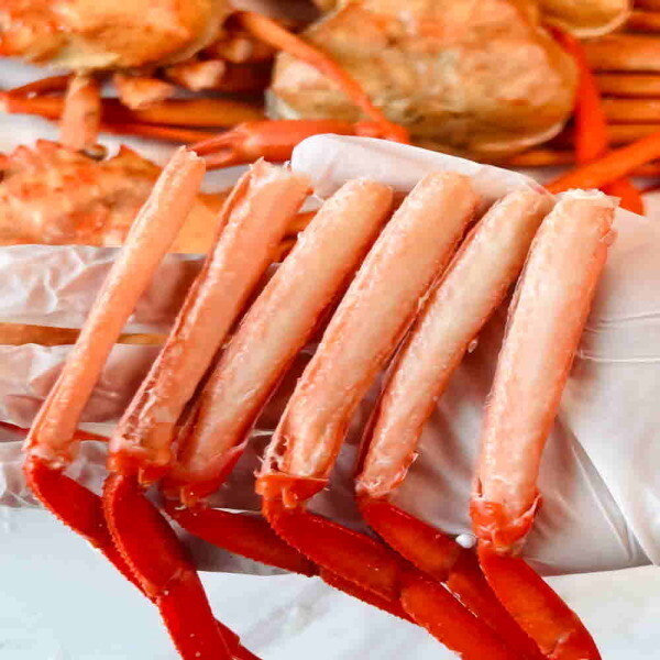 [오늘출발] 국내산 연지홍게 8kg 대용량 홍게 22~28미 내외 수율 70~80% 무료배송 행사진행중