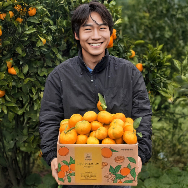 노마진초특가 제주 조생 고당도 타이벡 감귤 S-M 중과 5kg