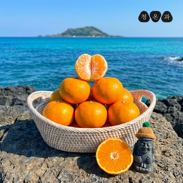 초고당도 보장 제주 타이백 감귤 산지직송 10kg 5kg 3kg 로얄과 밀감 조생 이번달만 무료배송