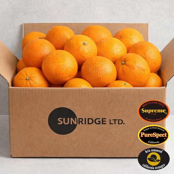 (신선집중) 14Brix 블랙라벨 오렌지 대과이상 7kg 대용량 (35과 내외)