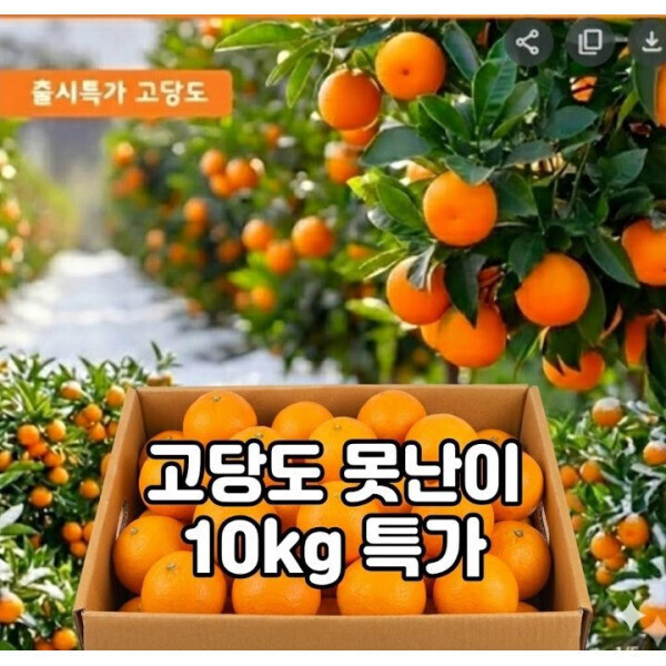 [오늘출발] 고당도 프리미엄못난이귤  제주감귤 서귀포 제철과일 최대15brix 효돈 감귤 10kg~2kg 출시특가 1000박스한정