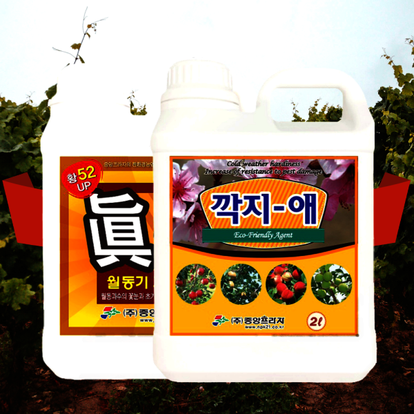 [오늘출발] 진황 깍지애 2L 세트 석회유황합제 대용 과수 황소독 월동유 깍지애 깍지벌레 방제