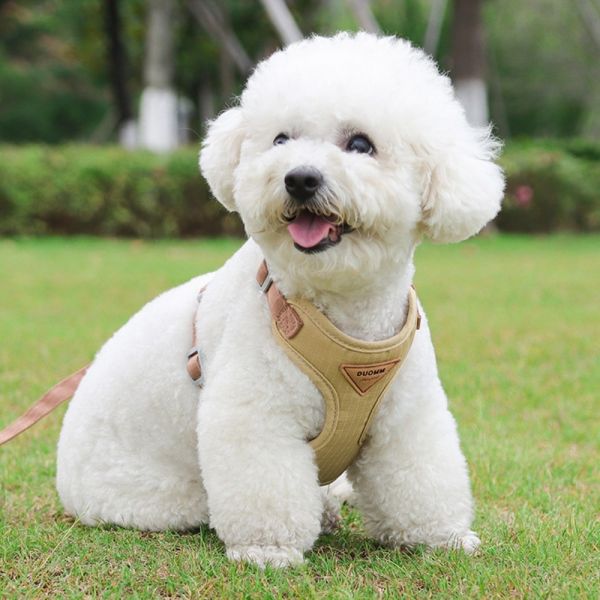 디아쿠아 강아지 고양이 바디핏 하네스 리드줄 세트