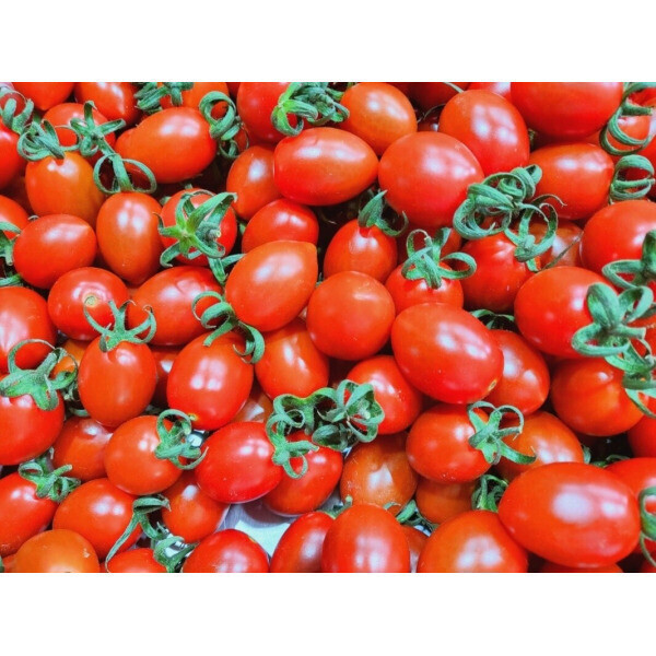 [오늘출발] 산지직송 대추방울토마토2kg (소과대과) 대추방울토마토 2박스 구매시 1kg추가 (5kg발송)