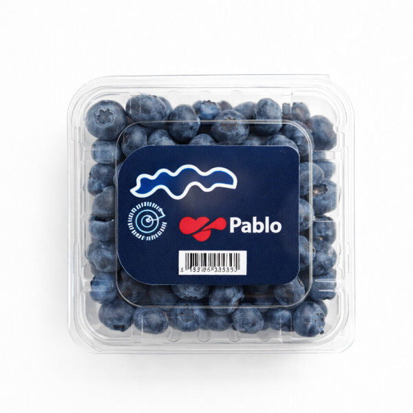 생 블루베리 125g 6팩 최신통관