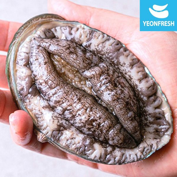 (신세계라이브쇼핑)완도활전복 1kg 4-5미(미당 200g내외) 산소팩 무료배송