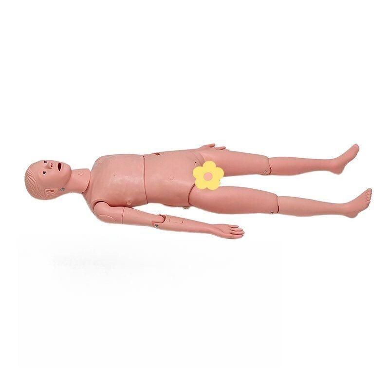 [오늘출발] 간호 마네킹 인체 모형 실습 교육 간병인 훈련 전신 교보재