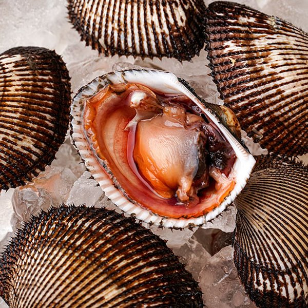 자연맛남 산지직송 남해안 피조개 피꼬막 5kg 75-100미