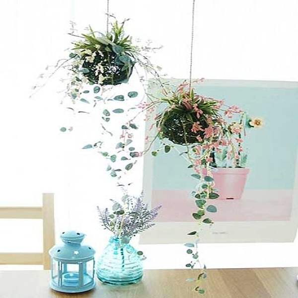 작은 KOX848J3 볼을 엮어서 만드는 더가든 라벤더 볼 조화